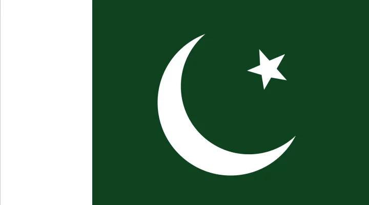 Pakistan Vizesi 1 flag symbolism Pakistan design Islamic